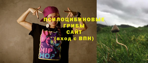 стаф Алексеевка