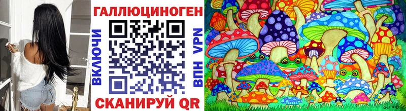 как найти   Ковылкино  Псилоцибиновые грибы ЛСД 